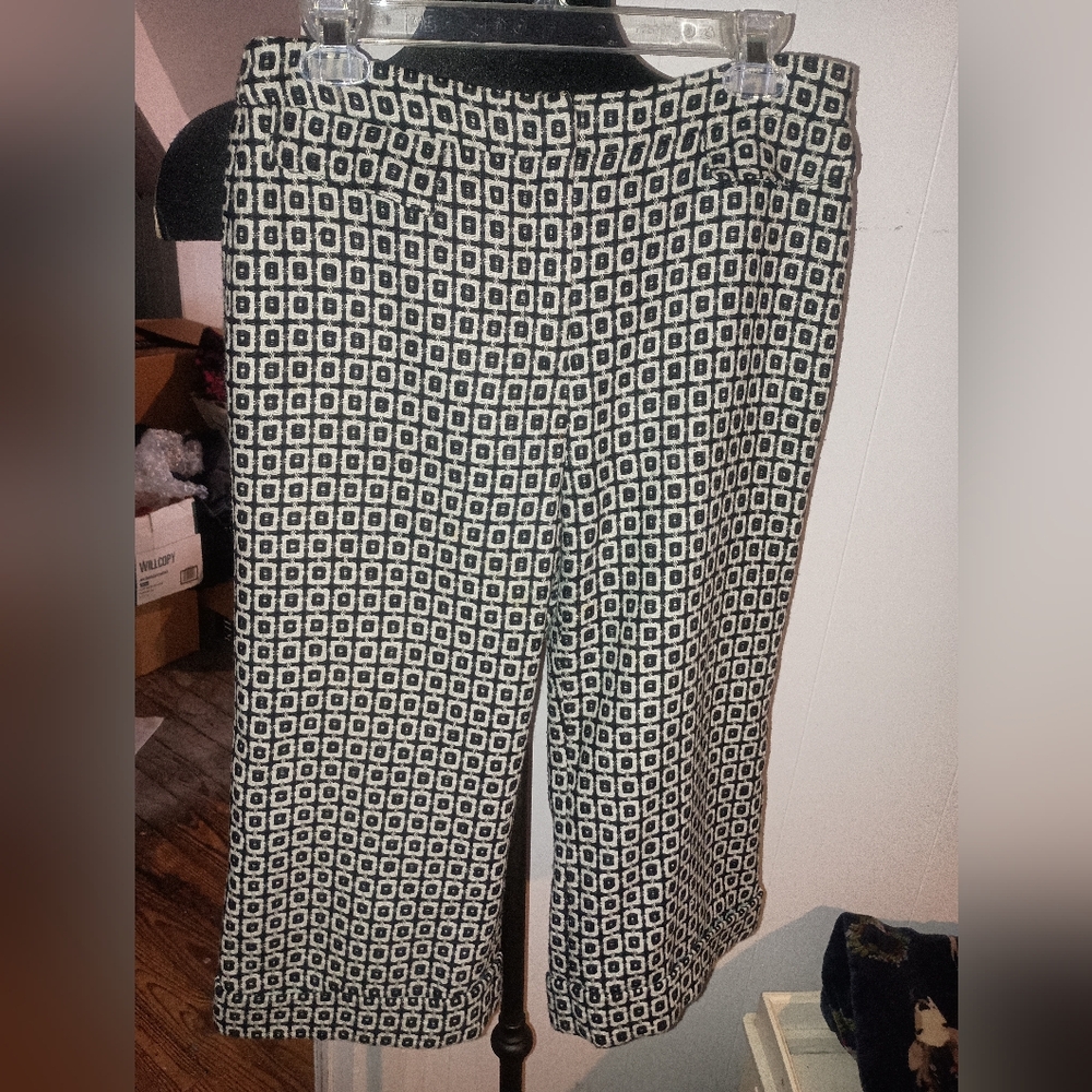 Wool lined geometric ankle pants size 8